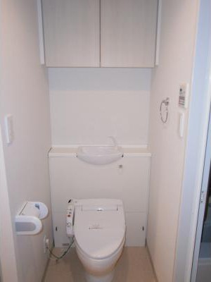 Toilet. Toilet
