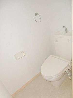 Toilet. Wide toilet with cleanliness