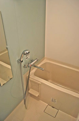 Bath. With bathroom dryer machine