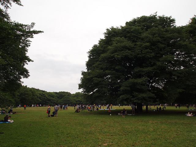 park. To Yoyogi Park 560m