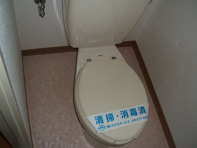 Toilet. The cleaned of paper is Yes over
