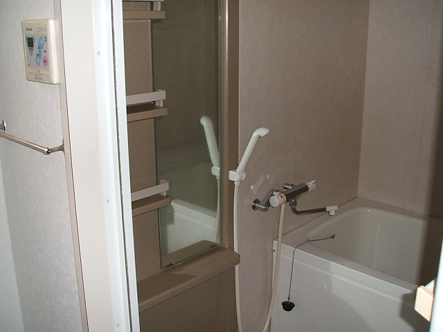 Bath. Also it comes with a mirror