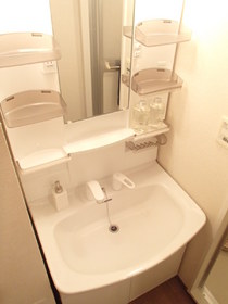 Washroom. Independent wash basin of a large mirror