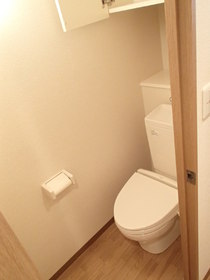 Toilet. Storage rack with toilet