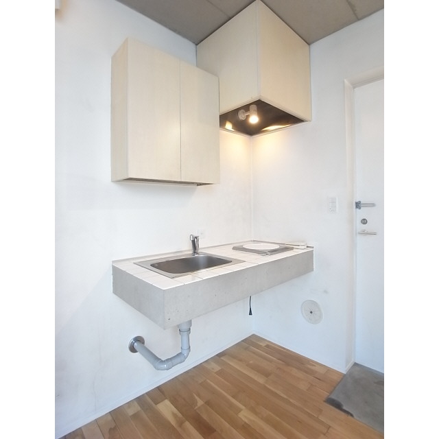 Kitchen. Sink of fashionable IH stove