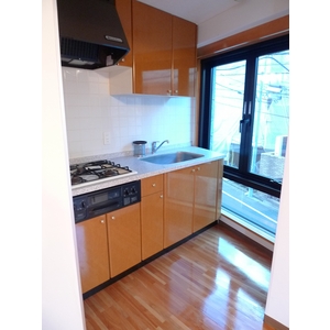 Kitchen. System kitchen