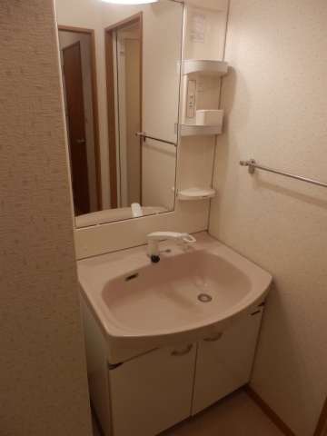 Washroom. Shampoo dresser