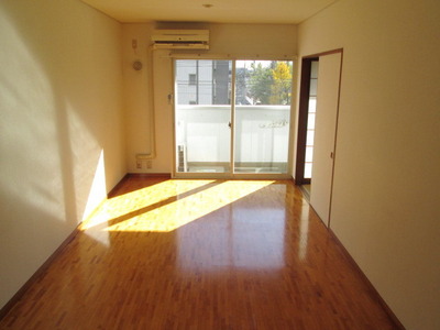Living and room. Bright living room