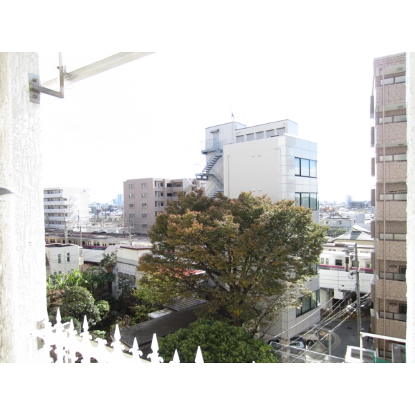 View. Sunny view good
