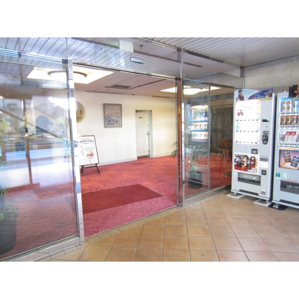 Entrance. Feeling of luxury entrance