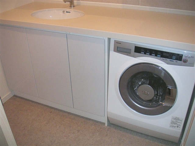 Washroom. Fully automatic washing dryer