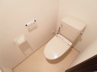 Toilet. Hand wash with a toilet
