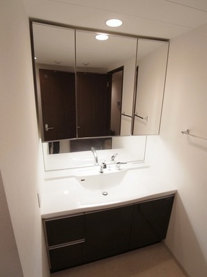Washroom. Wide vanity