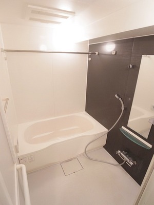 Bath. Bathroom of the large size and spacious