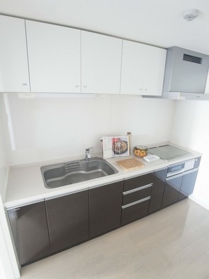 Kitchen. Caring Easy IH kitchen