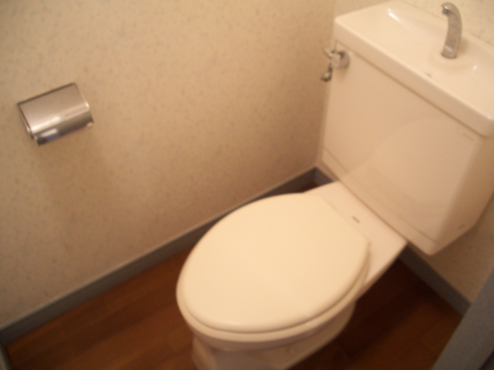 Toilet