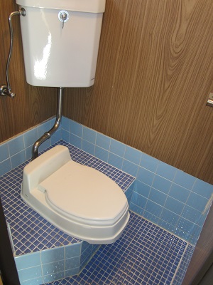 Toilet. Style-style toilet seat there