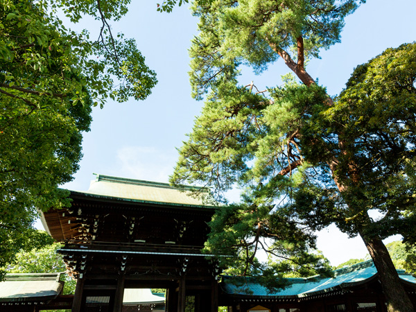 Surrounding environment. Meiji Shrine (about 650m / A 9-minute walk)