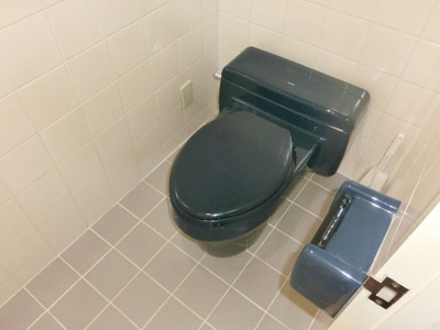Toilet. Toilet
