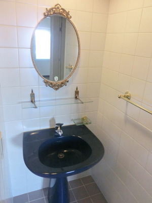 Washroom. Wash basin