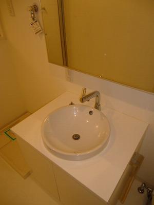Washroom. Stylish round bowl