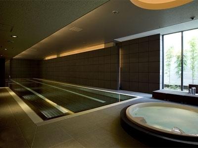 Other common areas. Common areas: indoor heated pool)