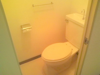 Toilet. Toilet