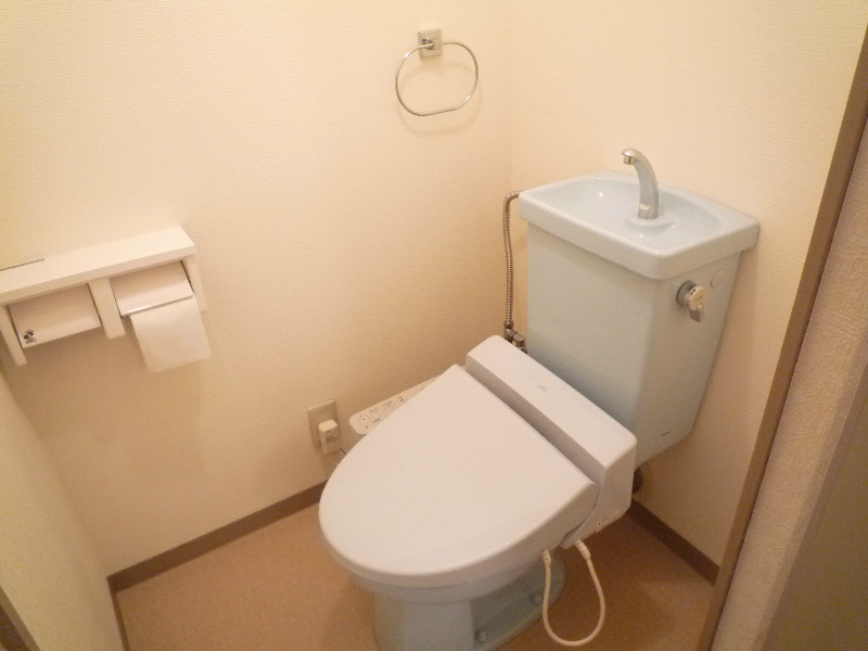 Toilet. Spacious space