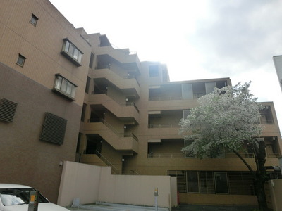 Building appearance. appearance