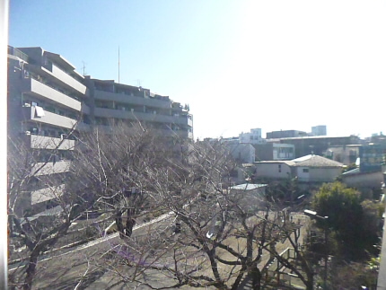 Balcony. Veranda
