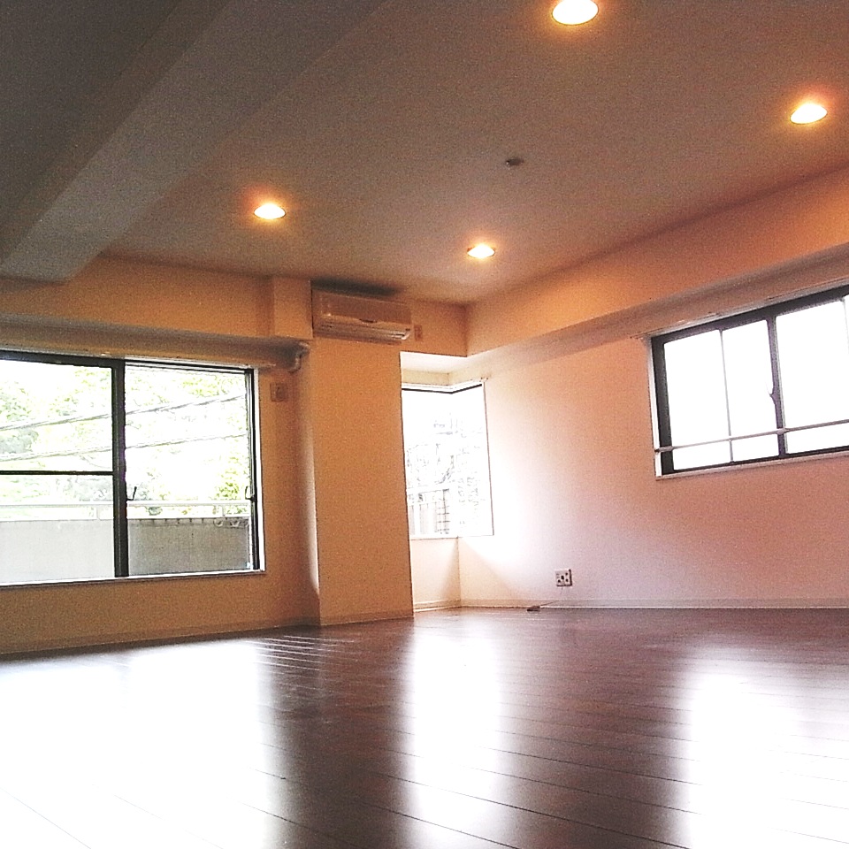 Living and room. Living from the kitchen south direction