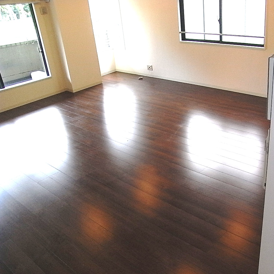 Living and room. Living from the kitchen southwest direction