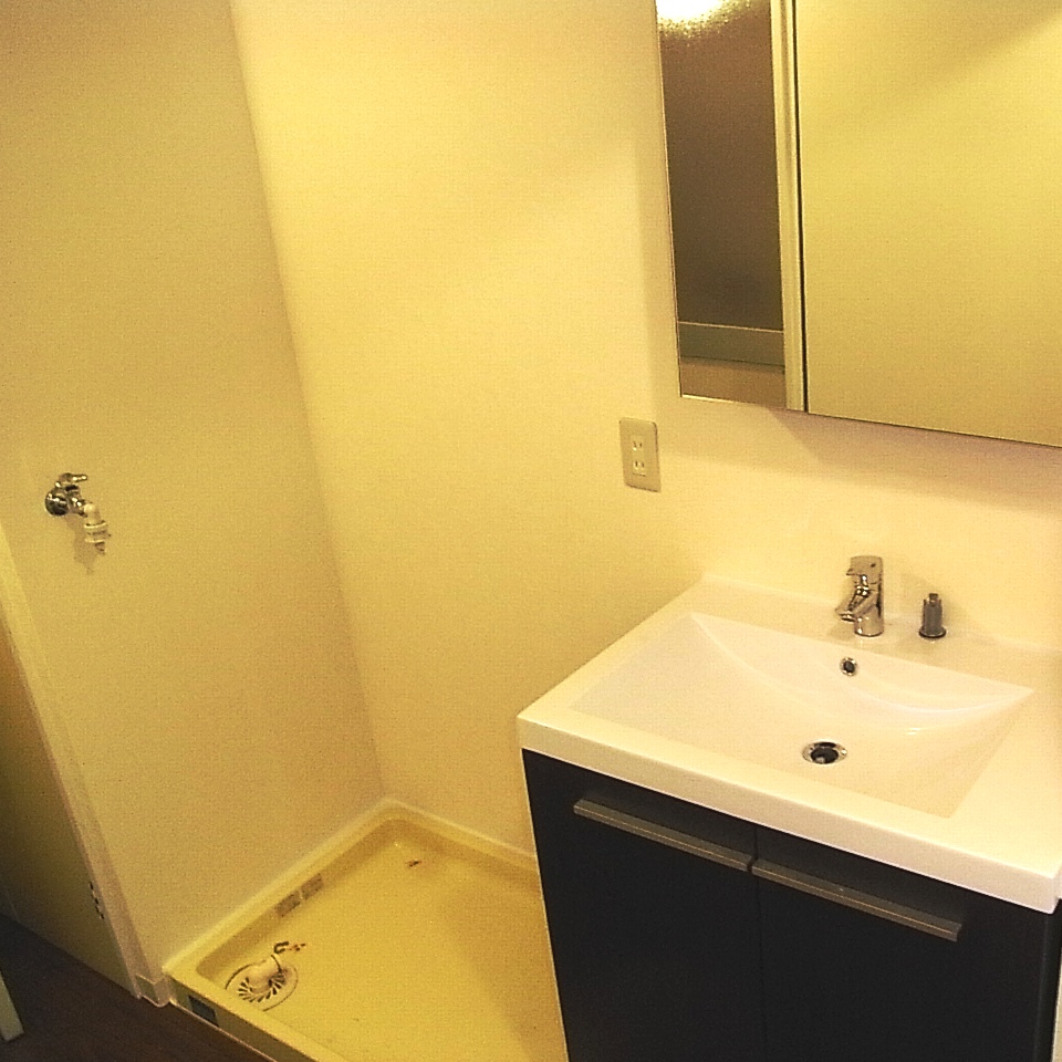 Washroom. New vanity & amp; amp; washing machine Storage