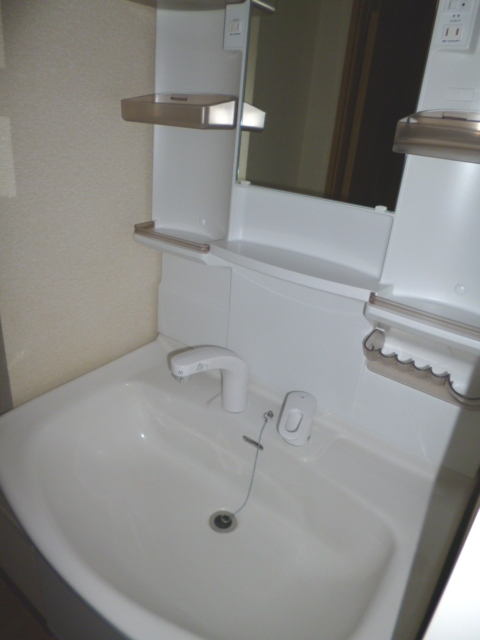 Washroom. Convenience in a separate wash basin