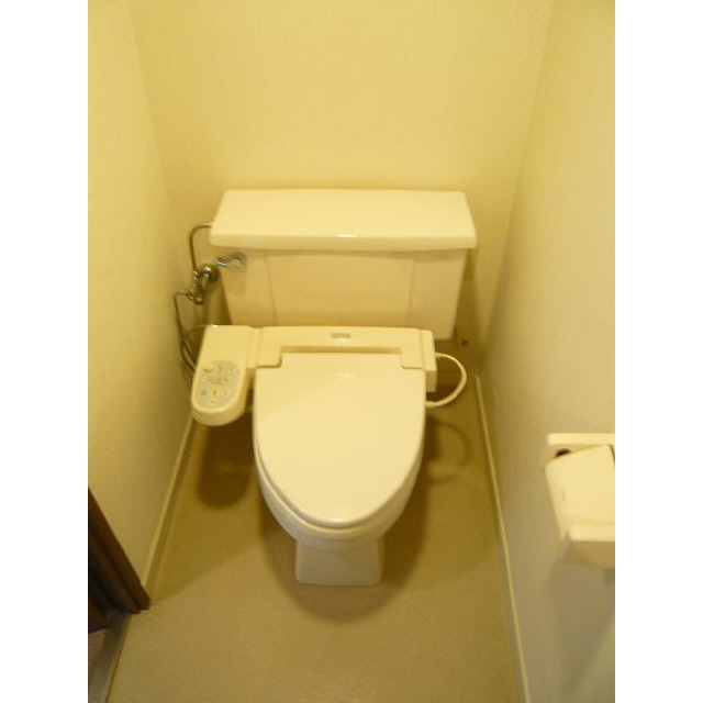 Toilet. With cleaning function