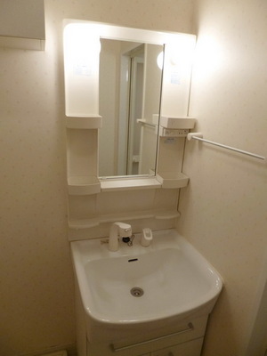 Washroom. Convenient shampoo dresser independent washroom