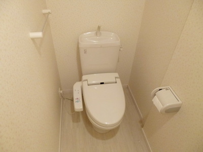 Toilet. Toilet with warm water washing toilet seat