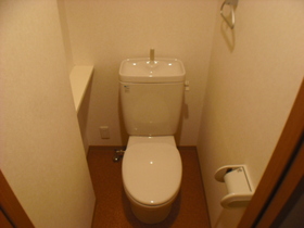 Toilet. Toilet (indoor reference photograph)