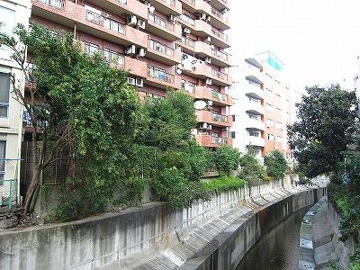 Other. Shibuya River