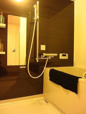 Bathroom. Interior
