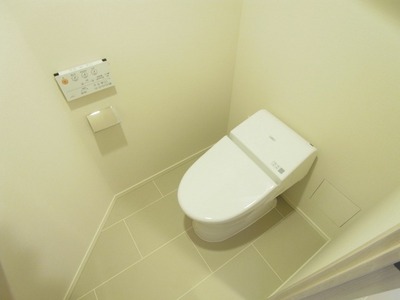 Toilet. Neat tankless toilet