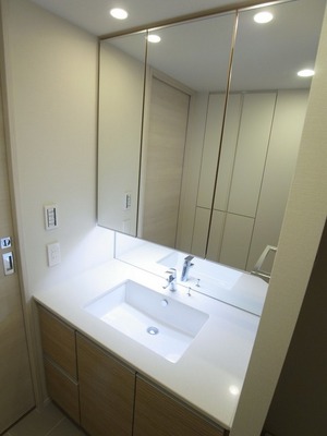 Washroom. Spacious vanity