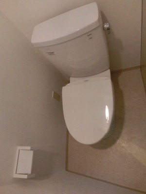 Toilet. Lavatories