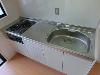 Kitchen. Two-burner gas stove with kitchen