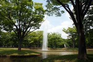 park. 359m to Yoyogi Park (park)
