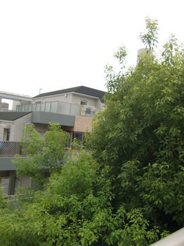 View. Outer garden of fireworks can be seen from the east side balcony