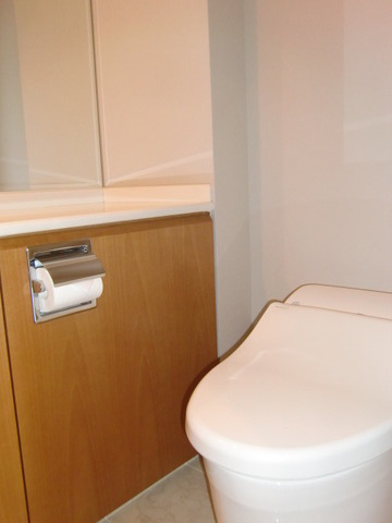 Toilet. With cleaning warm toilet seat