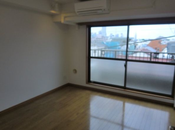Living and room. East of the bright rooms