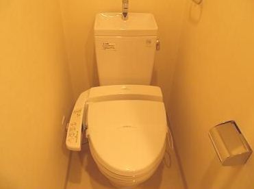 Toilet. Shower toilet