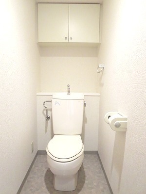 Toilet. Toilet with storage